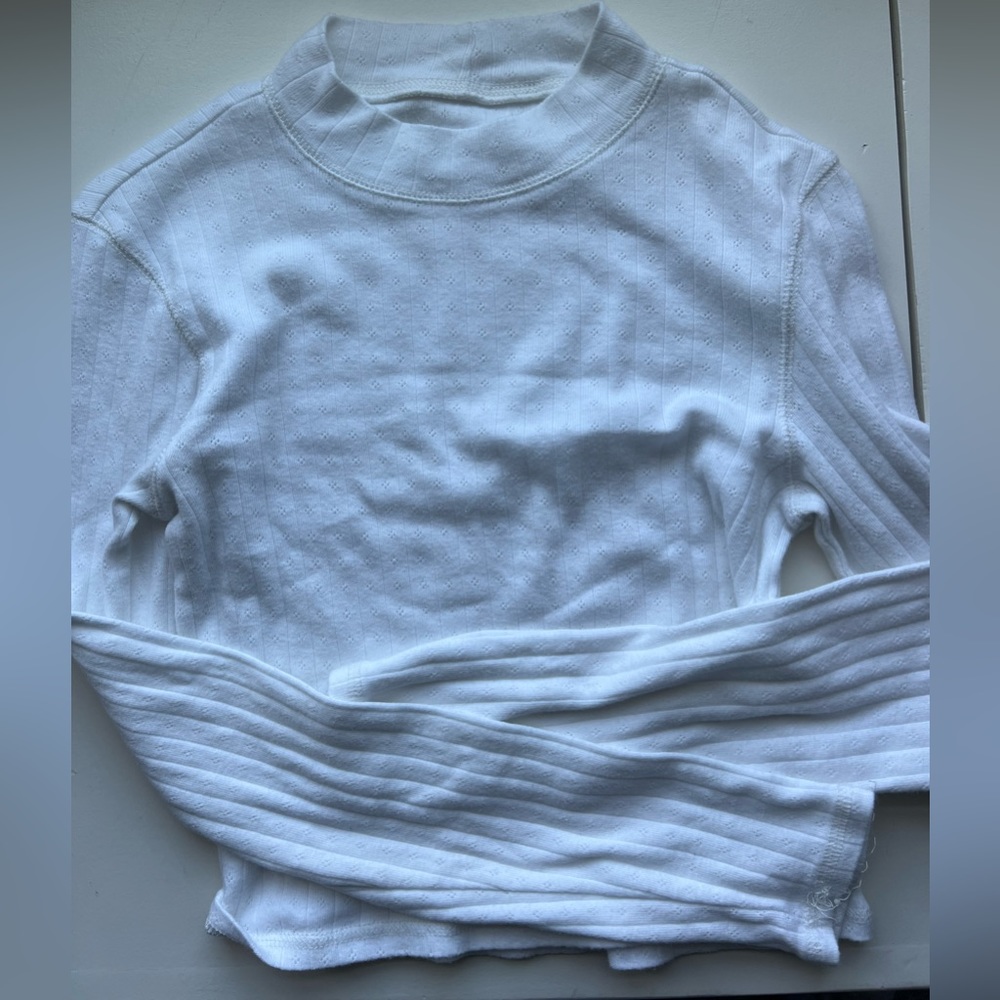 American Eagle mock neck cropped long sleeve